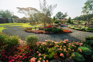 Beautiful organic vegetable garden with raised brick beds, tomat